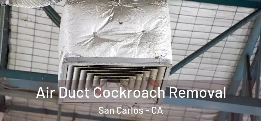  Air Duct Cockroach Removal San Carlos - CA