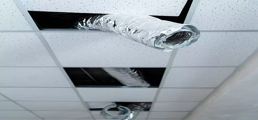 Affordable HVAC Sanitizing After Pest Removal in San Carlos