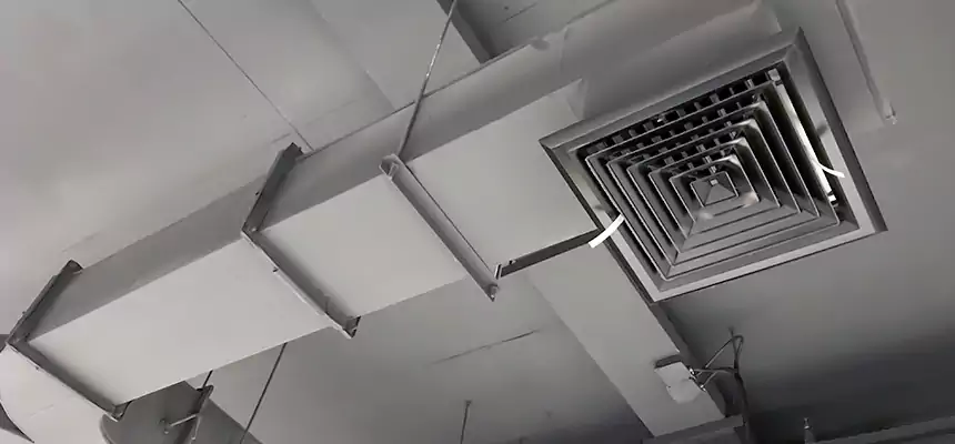 Restorative Allergy Relief Vent Cleaning – Coil, Blower & Housing Detail in San Carlos