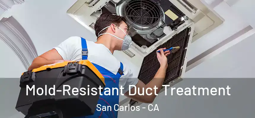 Mold-Resistant Duct Treatment San Carlos - CA