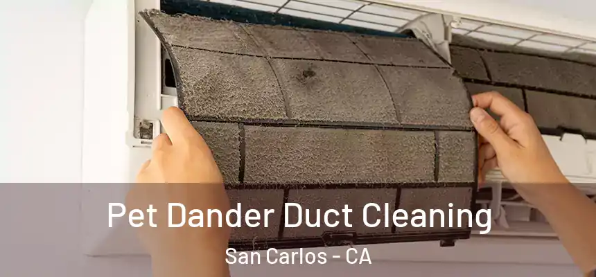 Pet Dander Duct Cleaning San Carlos - CA
