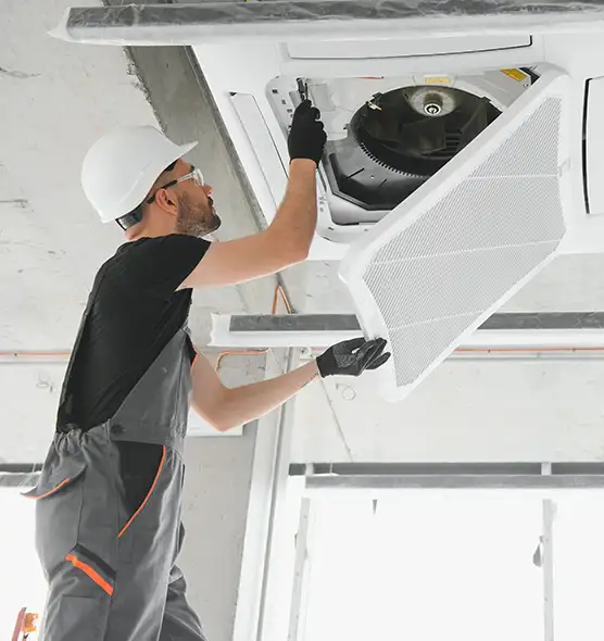 About Air Duct Rodent Removal in San Carlos, CA