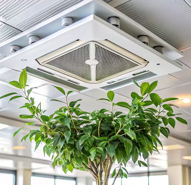 Why Homeowners & Businesses Trust Us in San Carlos, CA?