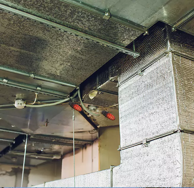 Why Homeowners & Businesses Trust Us San Carlos, CA?